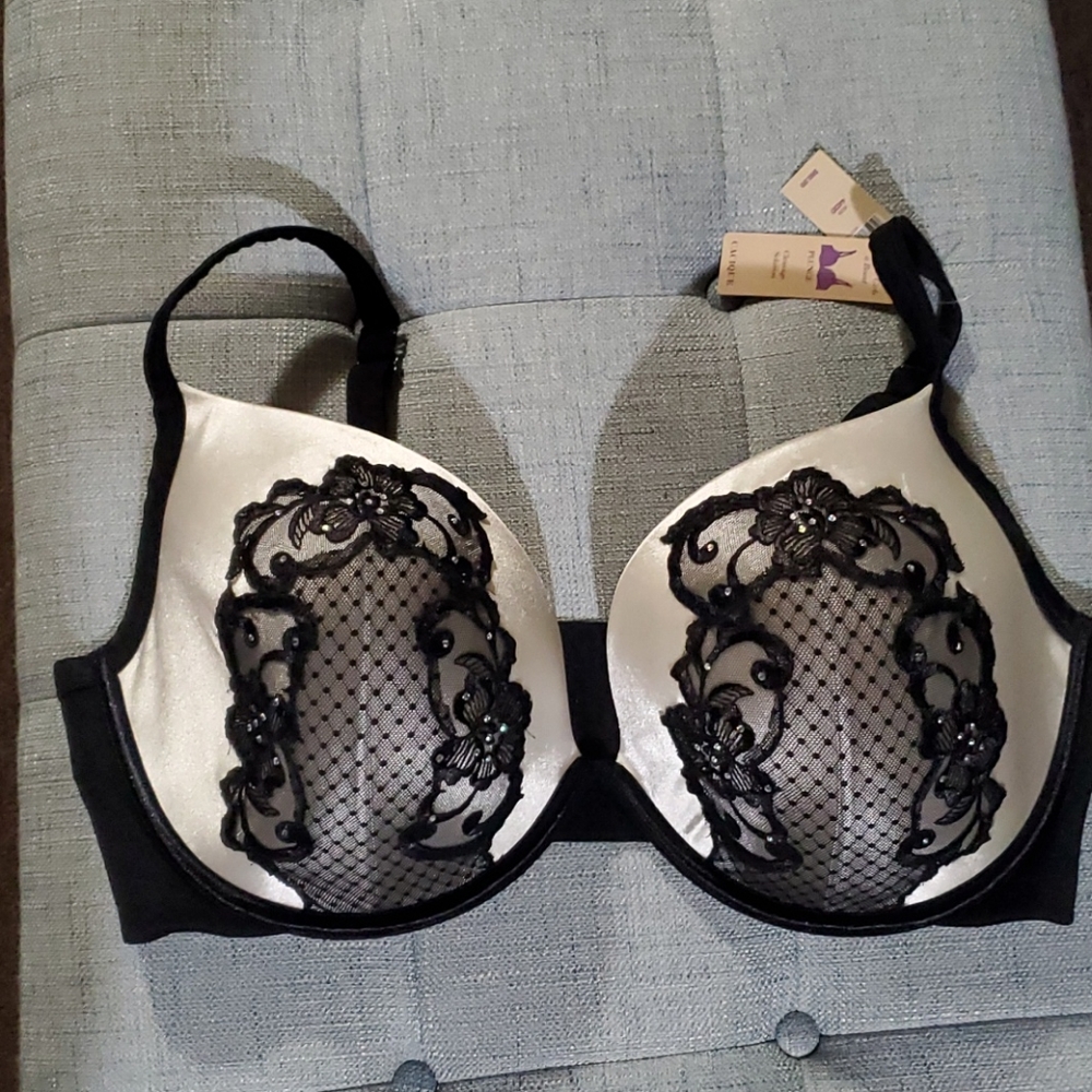 NWT CACIQUE BRA